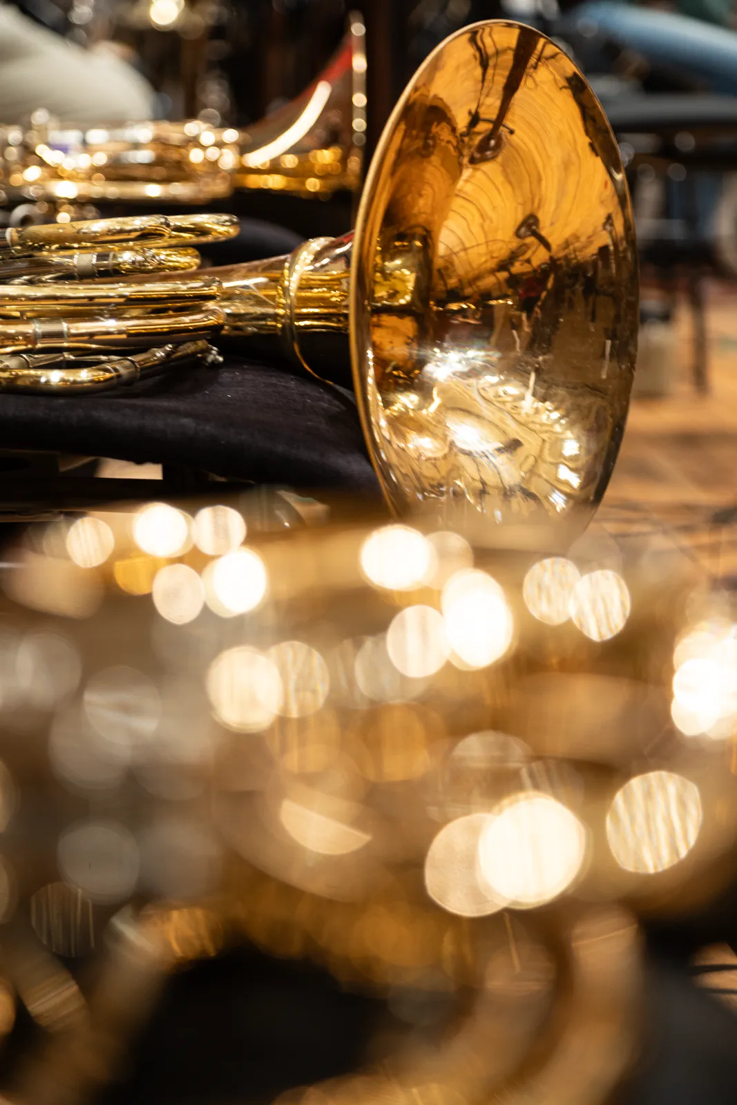 MUSA — French Horn